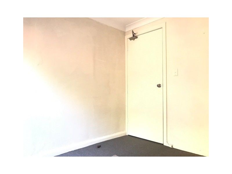 55 Windsor Road, Dulwich Hill NSW 2203