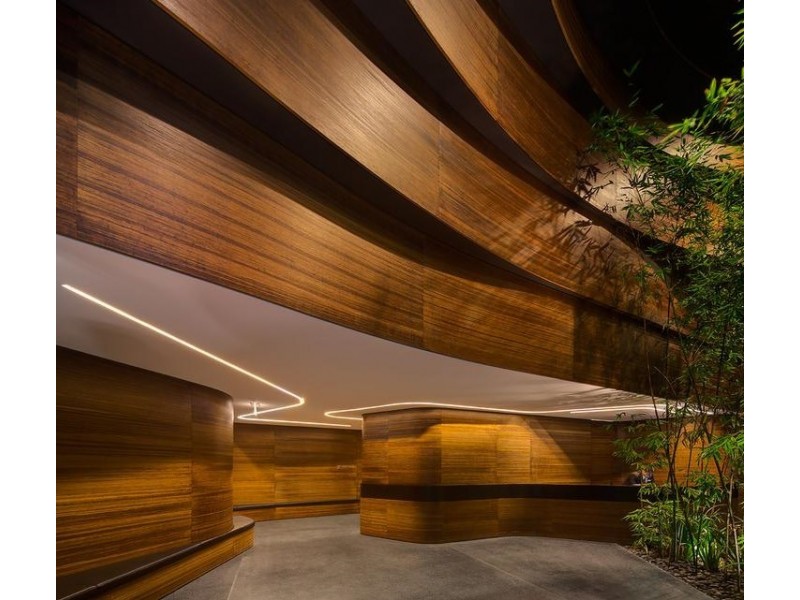 2204/3 Carlton Street, Chippendale NSW 2008