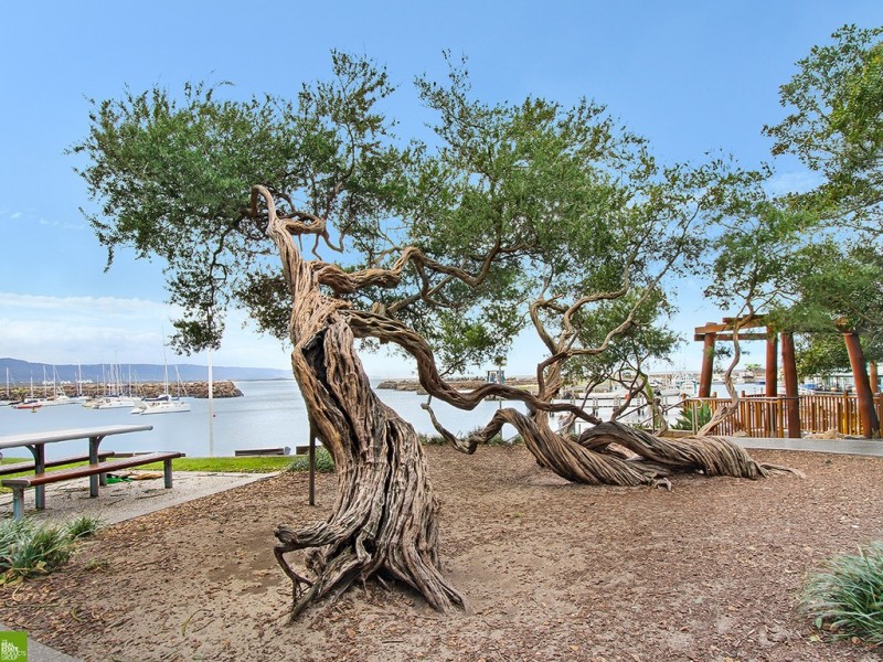 603/51 CROWN STREET, Wollongong NSW 2500