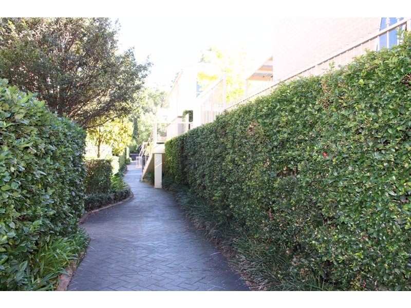 37 / 145 BALACLAVA RD, Marsfield NSW 2122