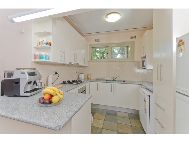 14 Burns Street, Petersham NSW 2049