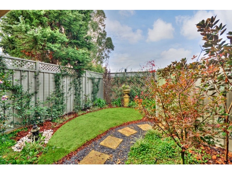 2/260 New Canterbury Road, Lewisham NSW 2049