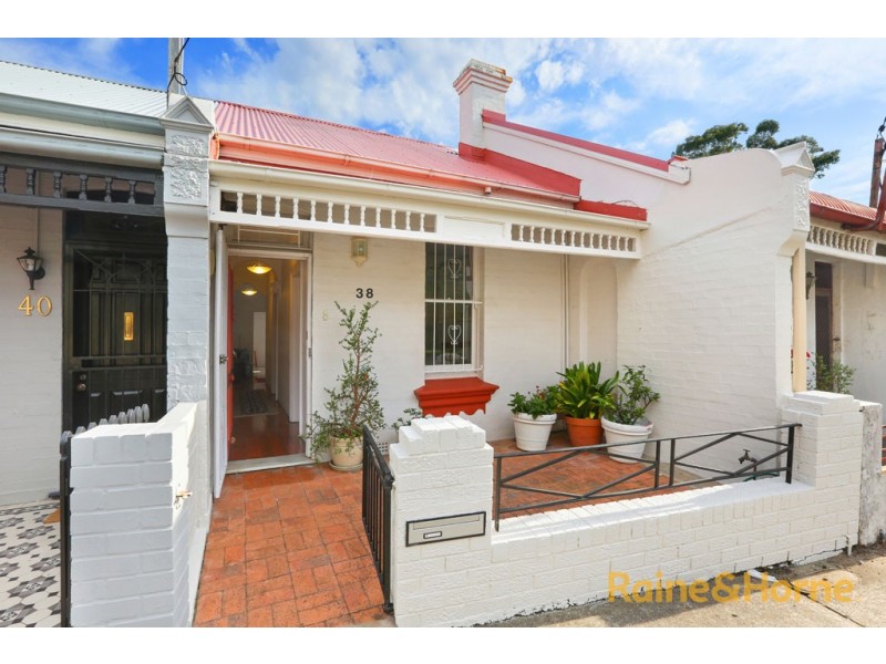 38 Searl Street, Petersham NSW 2049