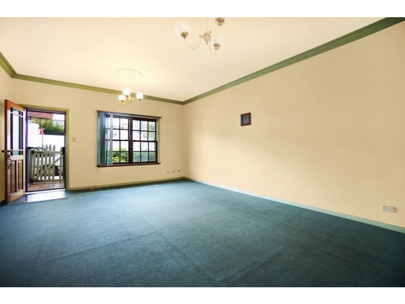 3 Roseby Street, Leichhardt NSW 2040