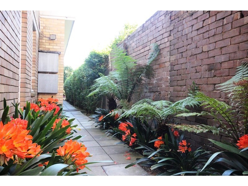 1D/196 Edgeware Road, Newtown NSW 2042