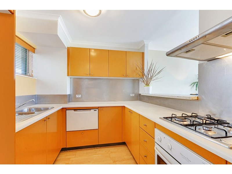 41/155 Missenden Road, Newtown NSW 2042