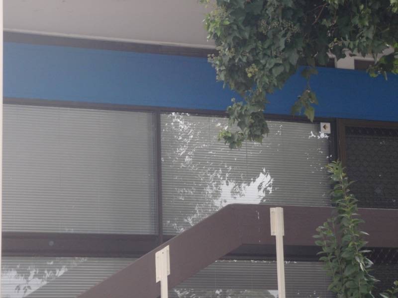 Winston Hills NSW 2153