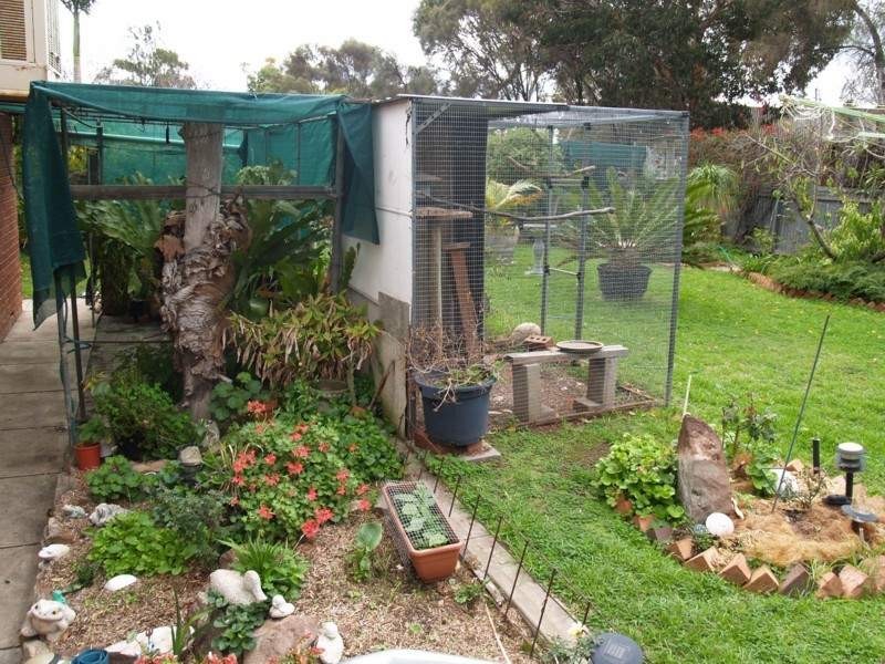 12 Haseldene Drive, Christie Downs SA 5164