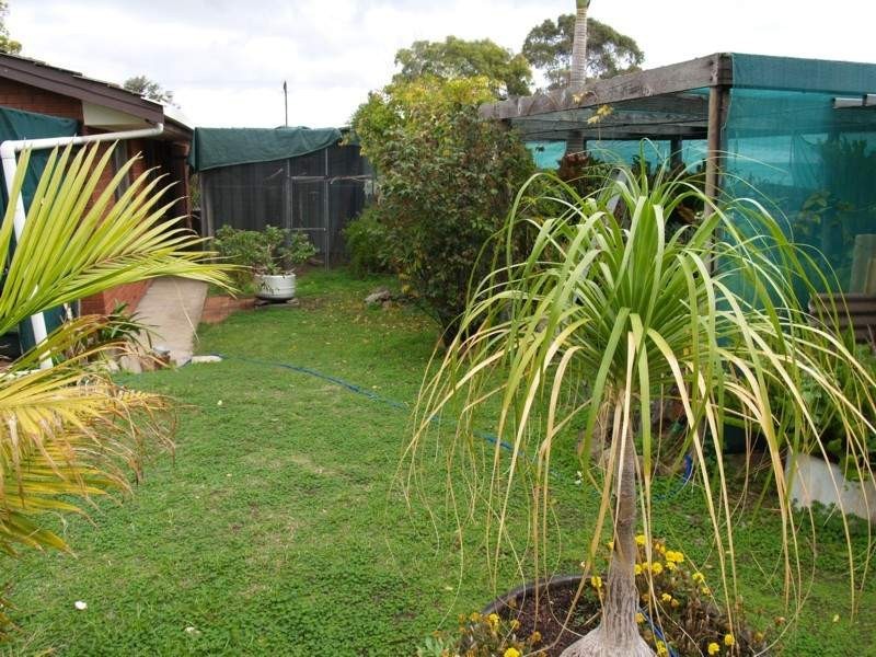 12 Haseldene Drive, Christie Downs SA 5164