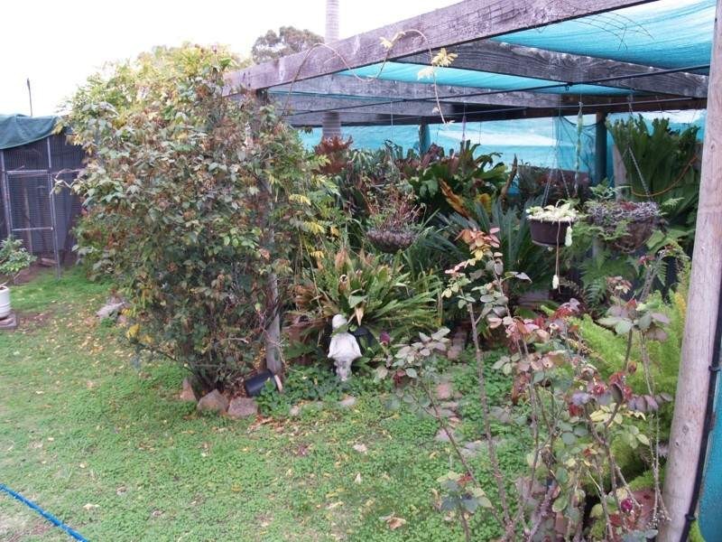 12 Haseldene Drive, Christie Downs SA 5164