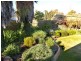 2 Saddler Court, Onkaparinga Hills SA 5163