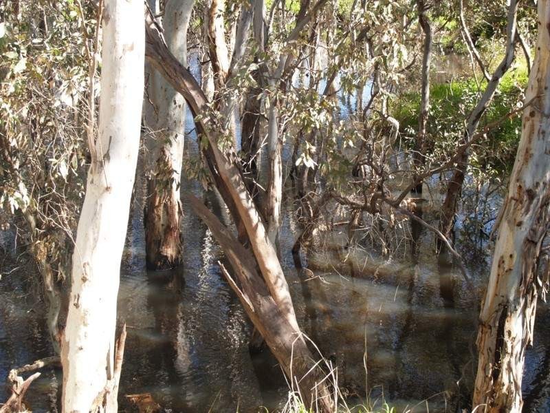 Lot 161 Woodcroft Caravan Park, Woodcroft SA 5162