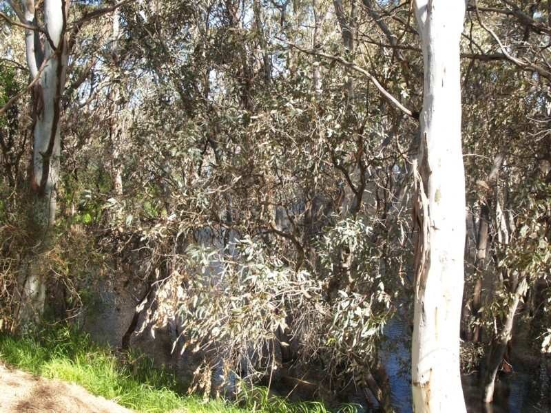 Lot 161 Woodcroft Caravan Park, Woodcroft SA 5162