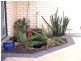 37 Horn Drive, Happy Valley SA 5159