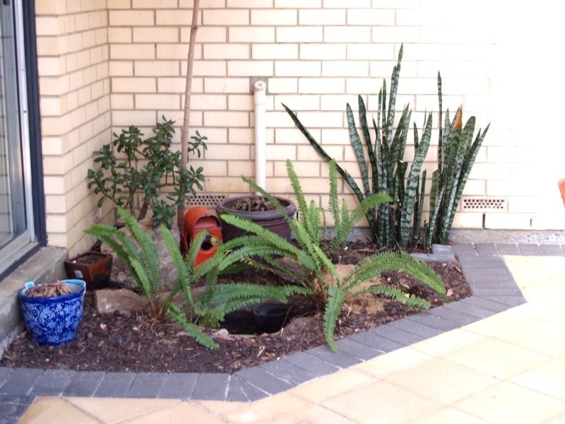 37 Horn Drive, Happy Valley SA 5159