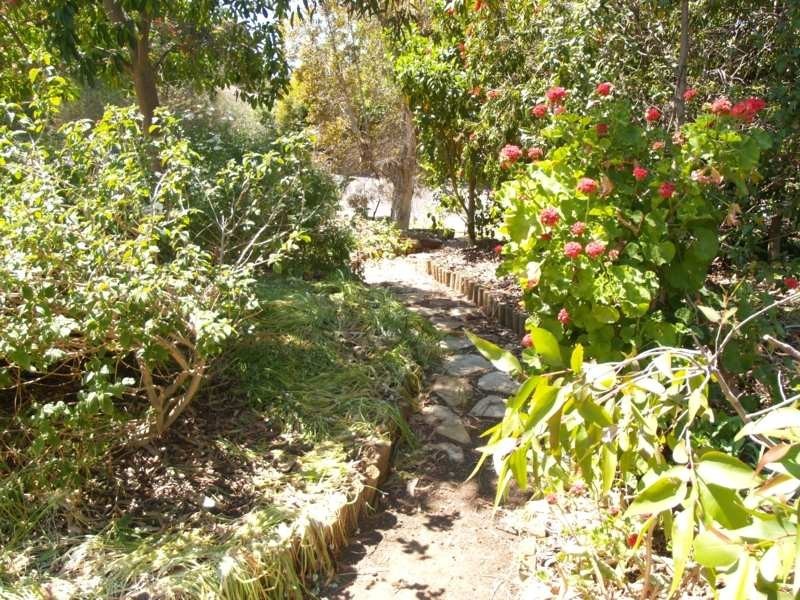 37 The Causeway, O’halloran Hill SA 5158