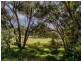 4b York Drive, Flagstaff Hill SA 5159