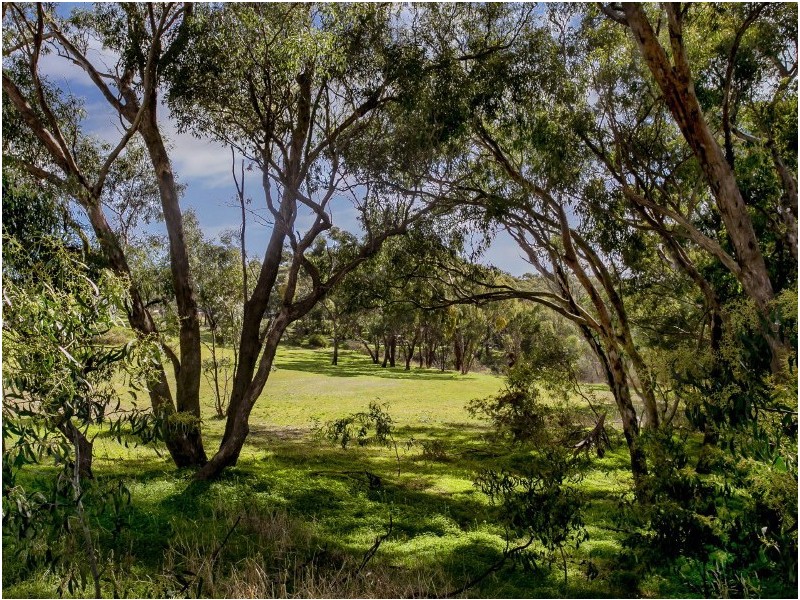 4b York Drive, Flagstaff Hill SA 5159