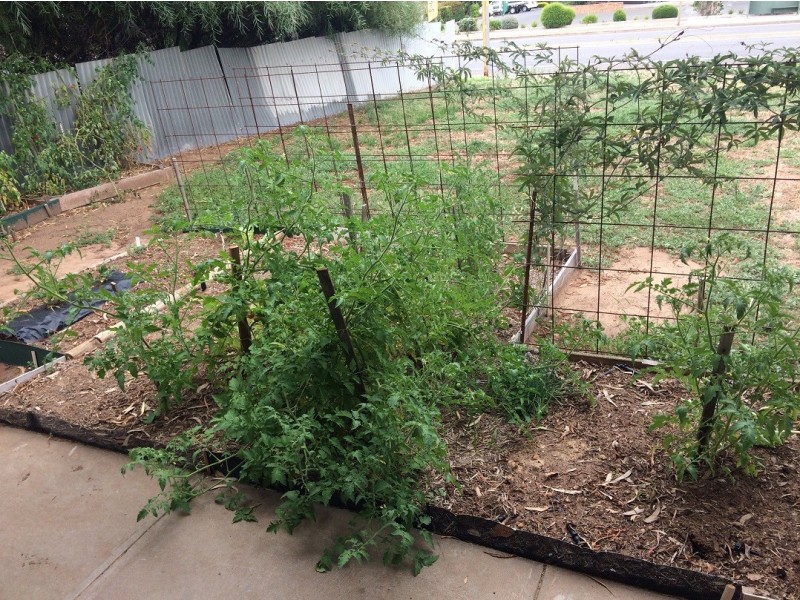 3/2 Sedunary Road, Morphett Vale SA 5162