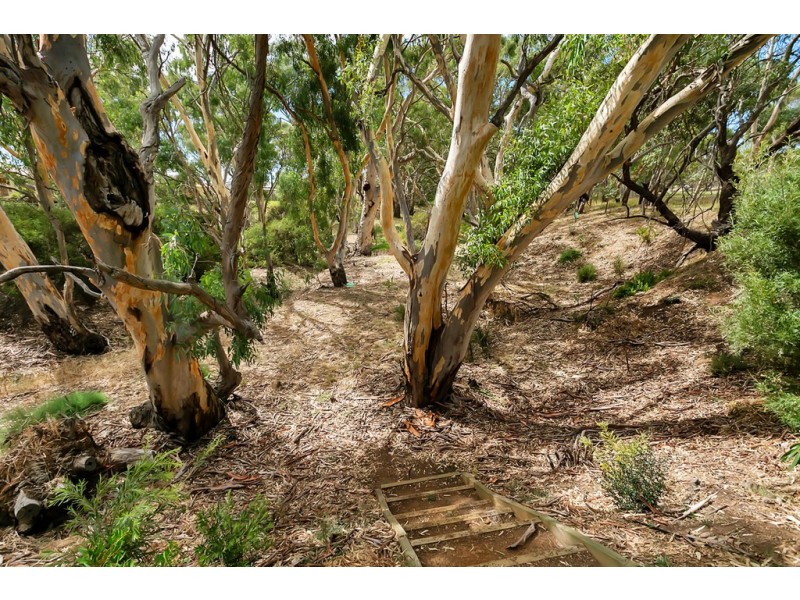 3/24 Golf Course Drive, Woodcroft SA 5162