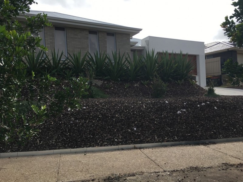 25 Yeltana Avenue, Huntfield Heights SA 5163