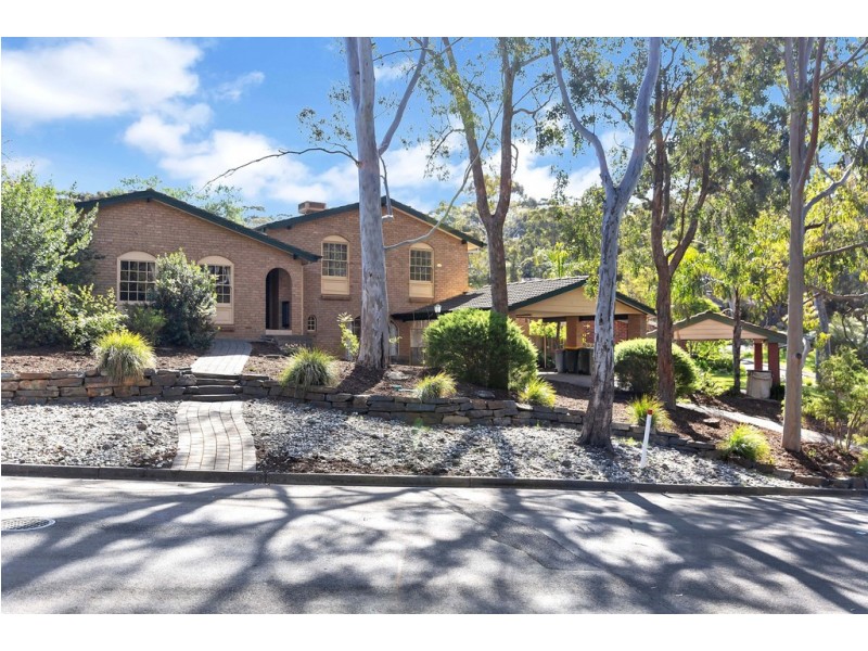 19 Lilford Way, Flagstaff Hill SA 5159