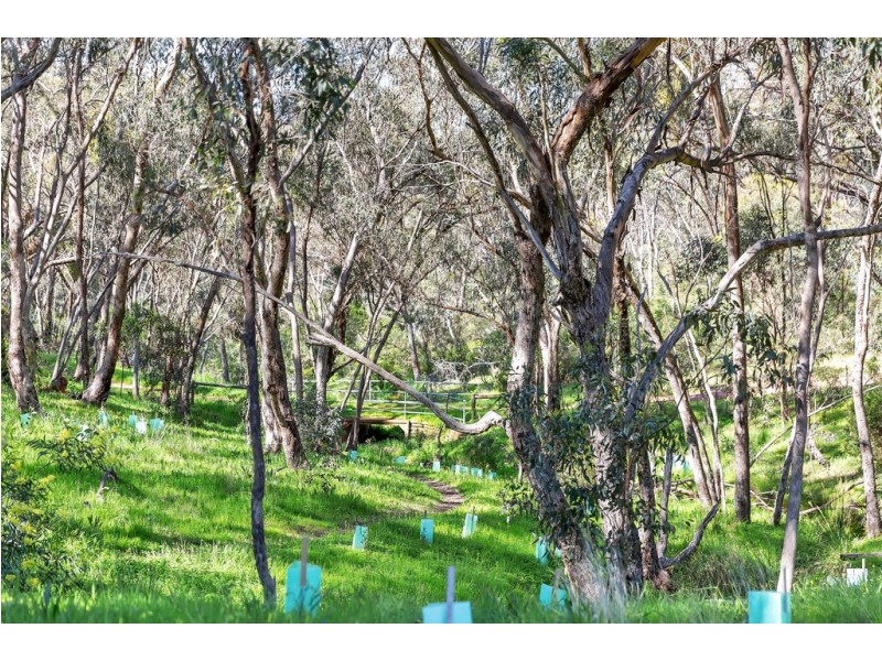 19 Lilford Way, Flagstaff Hill SA 5159