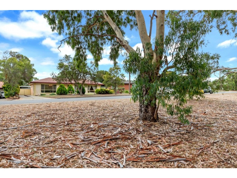 33 Kathleen Street, Morphett Vale SA 5162