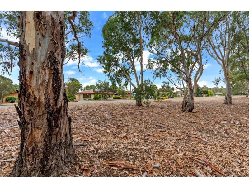 33 Kathleen Street, Morphett Vale SA 5162