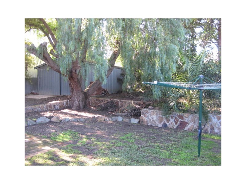 6 Clive St, Morphett Vale SA 5162