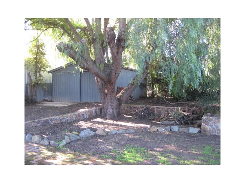 6 Clive St, Morphett Vale SA 5162