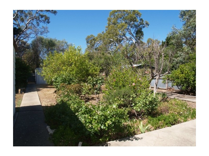 17 Malone Street, Morphett Vale SA 5162