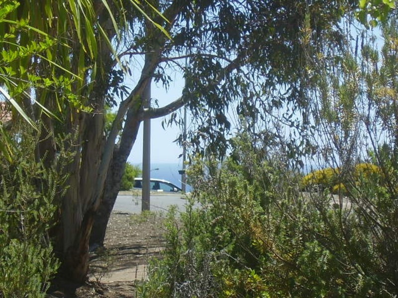 1  Hazeltine Drive, Seaford Rise SA 5169