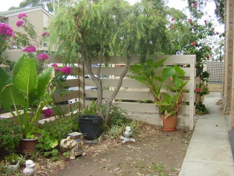 7/13 Austral Terrace, Morphettville SA 5043