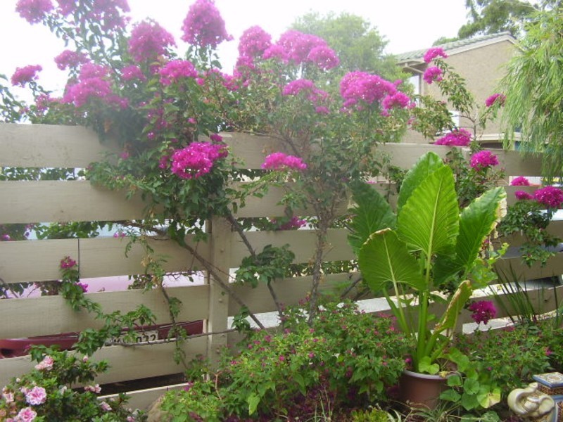 7/13 Austral Terrace, Morphettville SA 5043