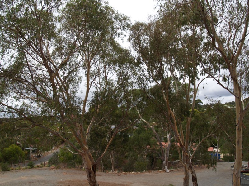 67 Education Road, Happy Valley SA 5159