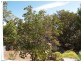 56 Wangary Terrace, Seaview Downs SA 5049