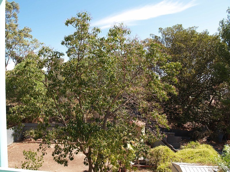 56 Wangary Terrace, Seaview Downs SA 5049