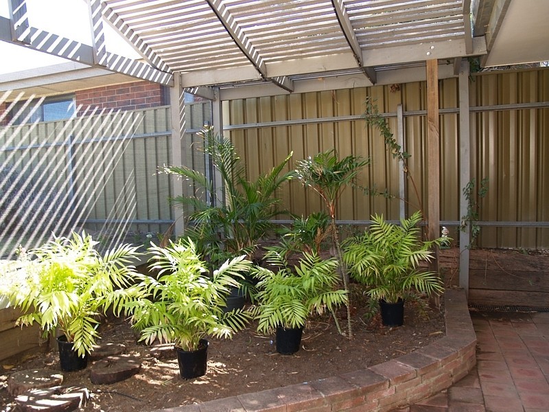 17 Concord Drive, Old Reynella SA 5161