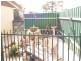 42 Maxwell Road, Hackham West SA 5163