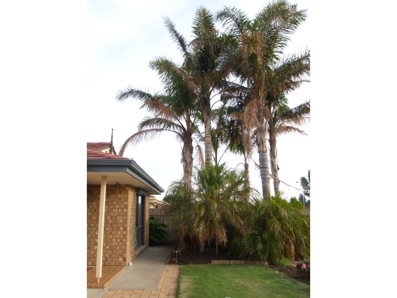 13 Ballast Close, Seaford Rise SA 5169