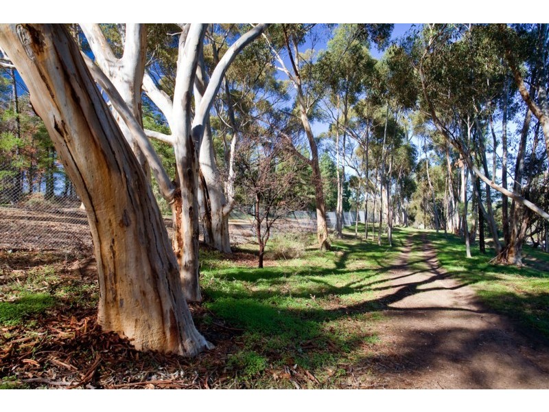 77 Chandlers Hill Road, O’halloran Hill SA 5158