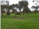 222 Pimpala Road, Woodcroft SA 5162