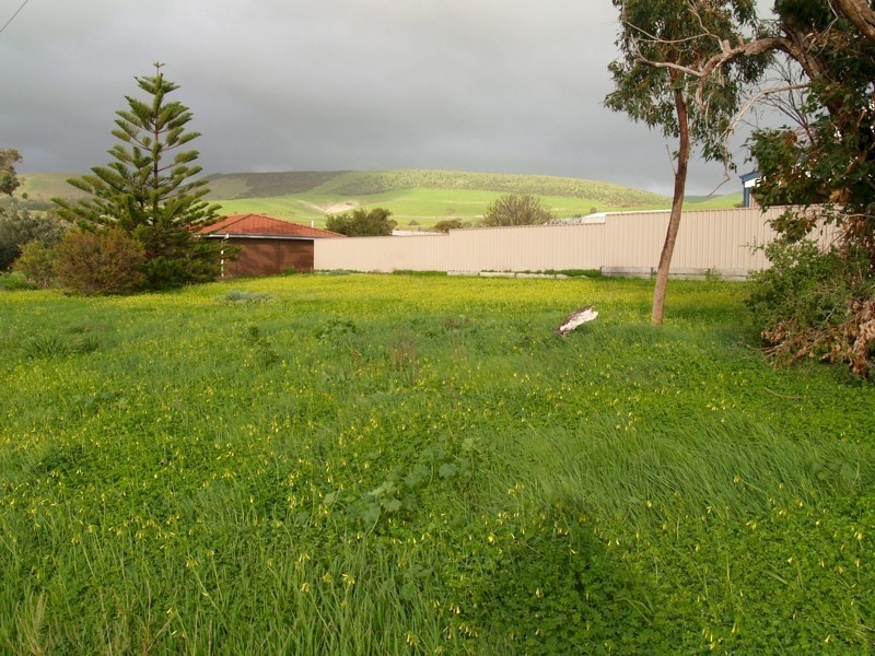 1 Napier Avenue (Lot 287), Sellicks Beach SA 5174