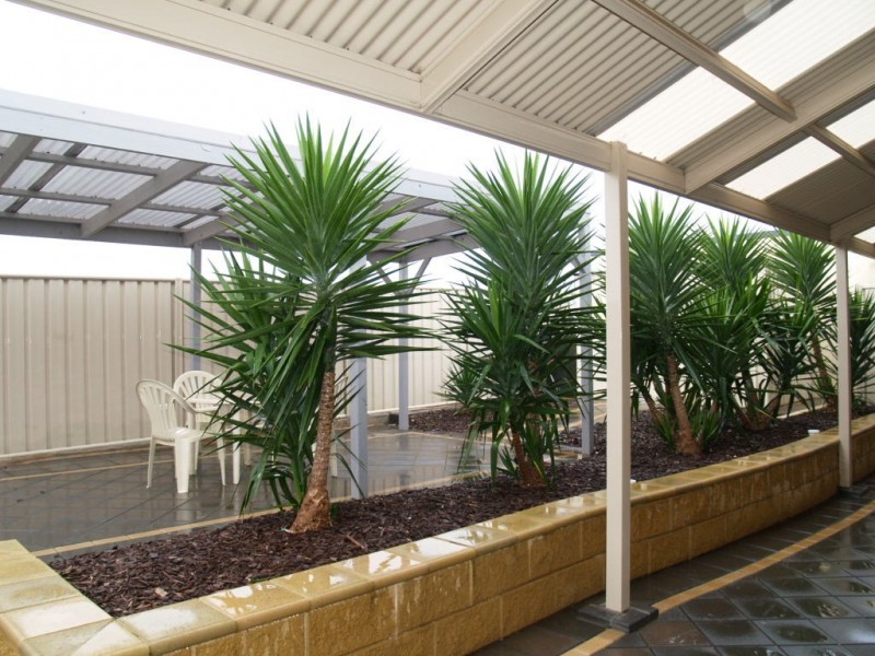 3 Tintara Walk, Noarlunga Downs SA 5168
