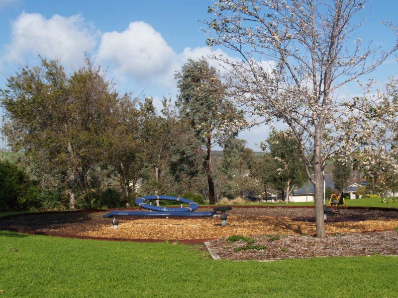 3 Tintara Walk, Noarlunga Downs SA 5168