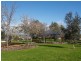 3 Tintara Walk, Noarlunga Downs SA 5168