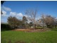 3 Tintara Walk, Noarlunga Downs SA 5168