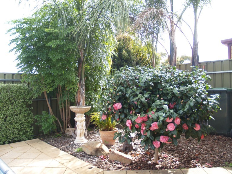 14 Chappel Avenue, Morphett Vale SA 5162