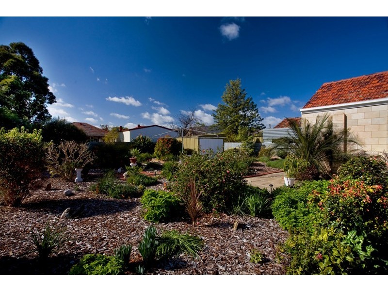 7 Almond Grove, Glandore SA 5037
